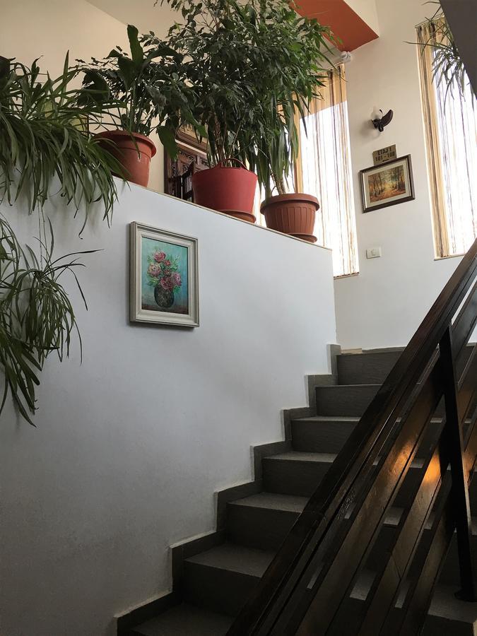 Hotel Taco Bukareszt Zewnętrze zdjęcie