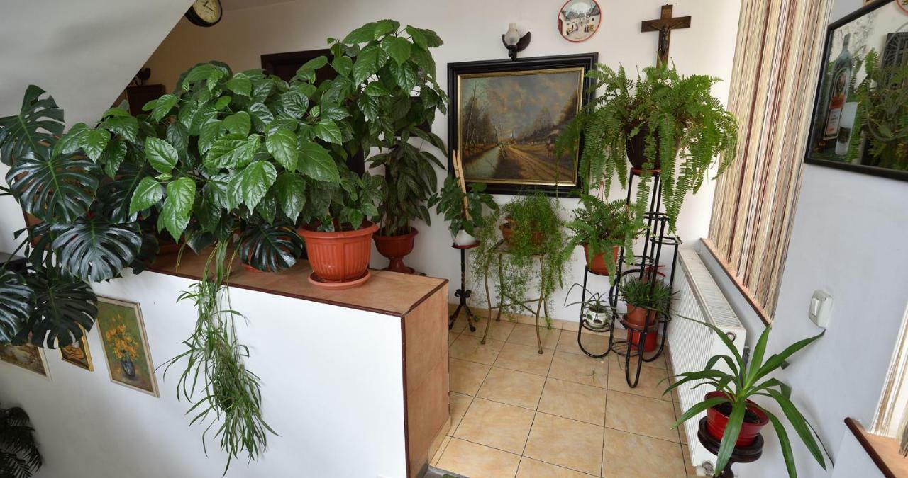 Hotel Taco Bukareszt Zewnętrze zdjęcie